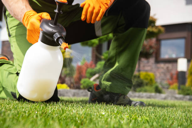 Best Commercial Pest Control Services  in South Lebanon, OH