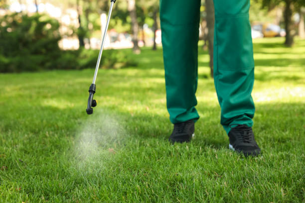 Best Emergency Pest Control  in South Lebanon, OH