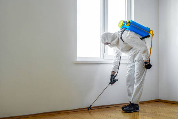Best Pest Control Near Me in South Lebanon, OH