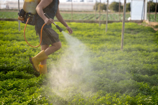 Best Affordable Pest Control Services  in South Lebanon, OH