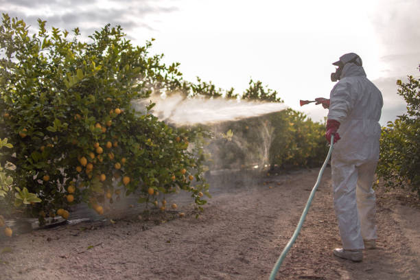 Best Best Pest Control Companies  in South Lebanon, OH